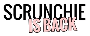 scrunchie-is-back.com