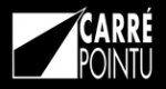 carrepointu.com